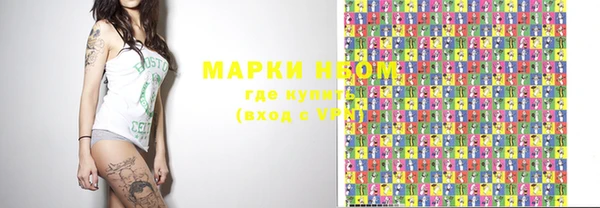 прущие грибы Касимов