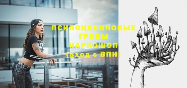 прущие грибы Касимов