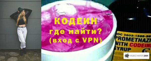 прущие грибы Касимов