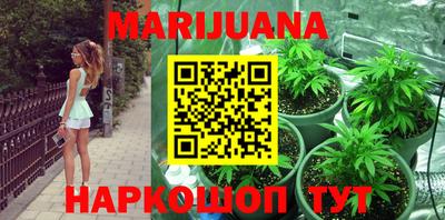 прущие грибы Вязьма
