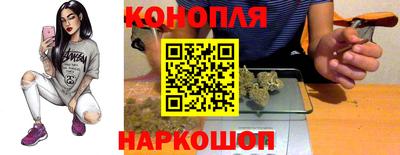 прущие грибы Вязьма