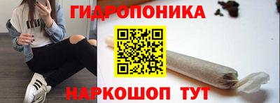 прущие грибы Вязьма