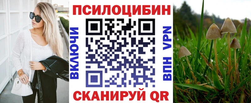 купить закладку  Краснокамск  Галлюциногенные грибы Magic Shrooms 