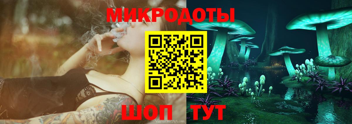 Галлюциногенные грибы Psilocybe  Вход с VPN  Краснокамск 